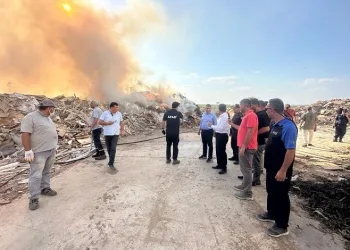 Kırklareli’nde korkutan yangınlar