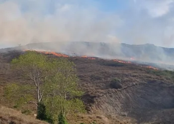 Sinop’ta örtü yangınında 5 hektar alan zarar gördü