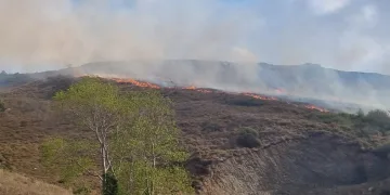 Sinop’ta örtü yangınında 5 hektar alan zarar gördü