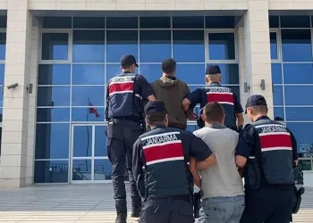 Alkol alıp ormanı yaktılar