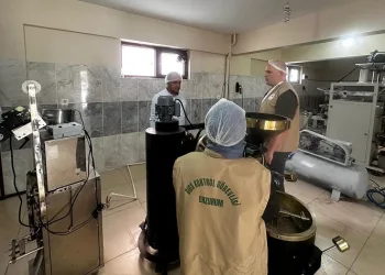 Bir haftada 368 gıda işletmesi denetlendi