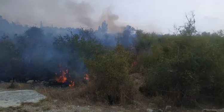 Makilik alanda çıkan yangın söndürüldü