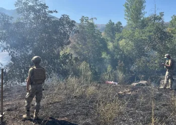 Tunceli’de çıkan örtü yangın söndürüldü
