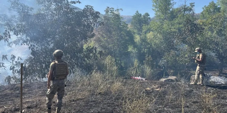 Tunceli’de çıkan örtü yangın söndürüldü