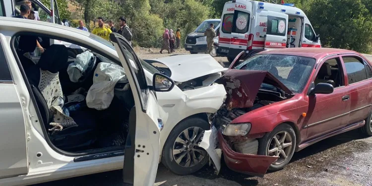 Otomobil ile cip kafa kafaya çarpıştı