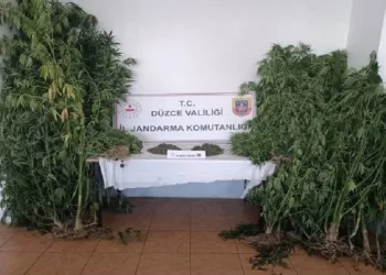42 şahsa uyuşturucudan işlem yapıldı