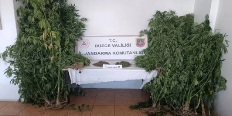 42 şahsa uyuşturucudan işlem yapıldı
