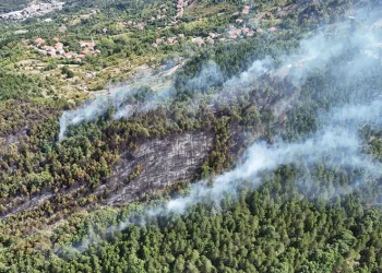 Zonguldak’taki orman yangınında 22 dönüm arazi zarar gördü
