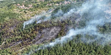 Zonguldak’taki orman yangınında 22 dönüm arazi zarar gördü