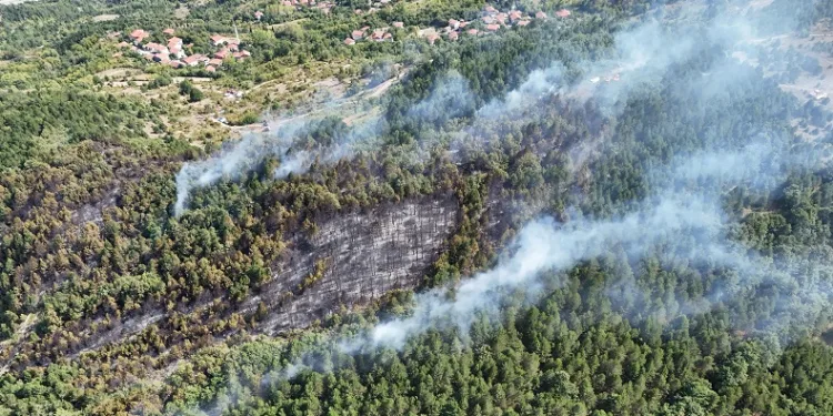 Zonguldak’taki orman yangınında 22 dönüm arazi zarar gördü