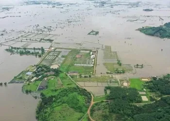 Tayland’da sel ve toprak kayması: 22 ölü, 19 yaralı