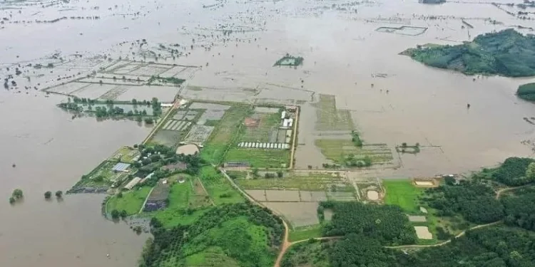 Tayland’da sel ve toprak kayması: 22 ölü, 19 yaralı