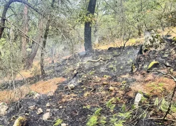 Yıldırım kaynaklı orman yangınına, havadan ve karadan müdahale