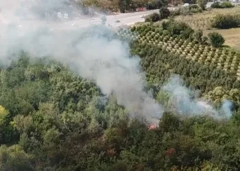 Bursa’da otluk alan alev alev yandı