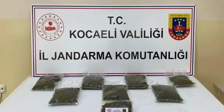 8 adrese uyuşturucu baskını