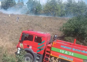 Bursa’da peş peşe çıkan yangınlar kontrol altına alındı