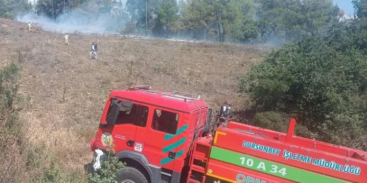 Bursa’da peş peşe çıkan yangınlar kontrol altına alındı