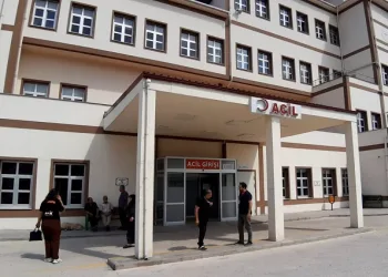 Ormanda görev yapan personele arılar saldırdı