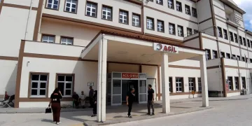 Ormanda görev yapan personele arılar saldırdı