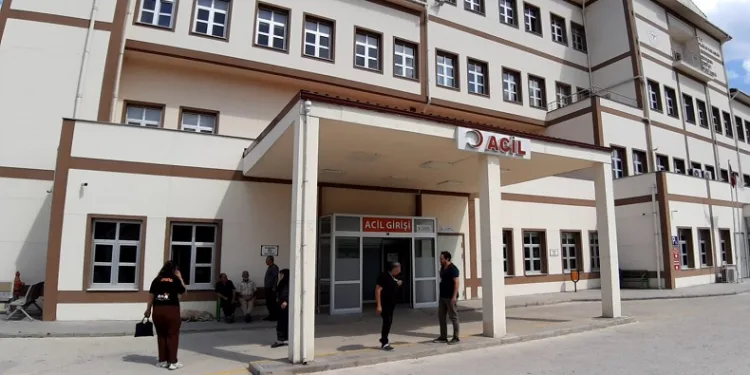 Ormanda görev yapan personele arılar saldırdı