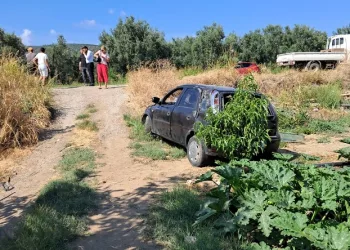 Bursa’da kontrolünü kaybeden kadın sürücü tarlaya uçtu