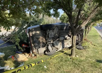 Otomobil refüjdeki ağaca çarptı