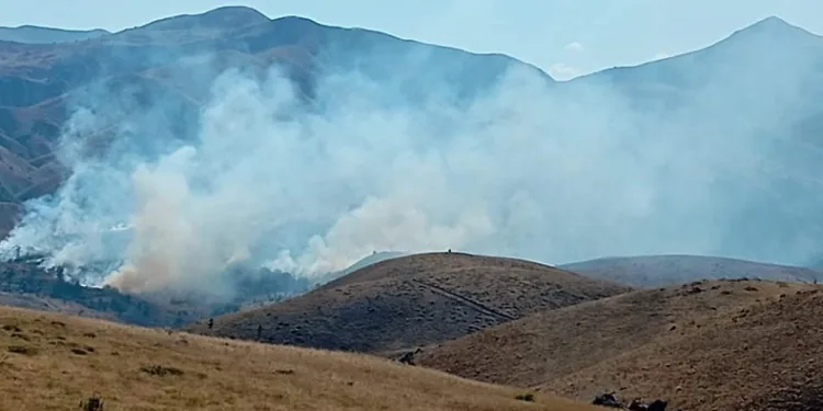 Tunceli’de yangın