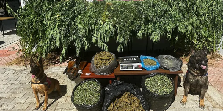 Malatya’da 11,5 kilogram uyuşturucu ele geçirildi: 2 gözaltı
