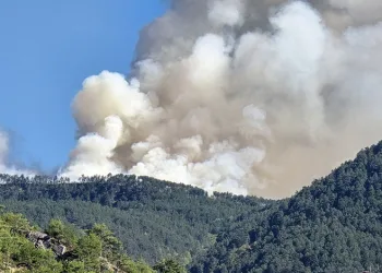 Karabük’te orman yangını
