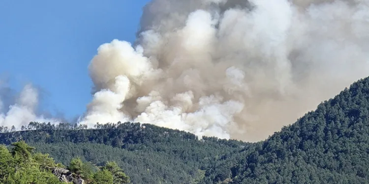 Karabük’te orman yangını