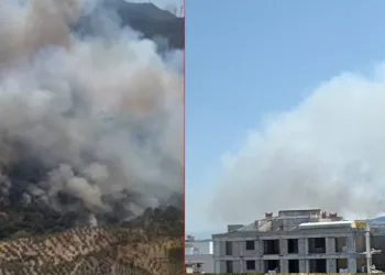 Aydın’da orman yangını