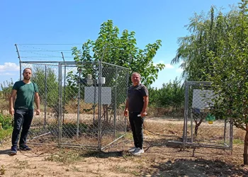 Beyşehir’de meyve bahçelerinde zararlılara karşı seferberlik