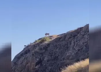 Dağ keçileri Harput’ta görüntülendi