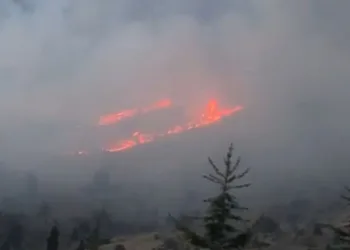 Afşin’de orman yangını