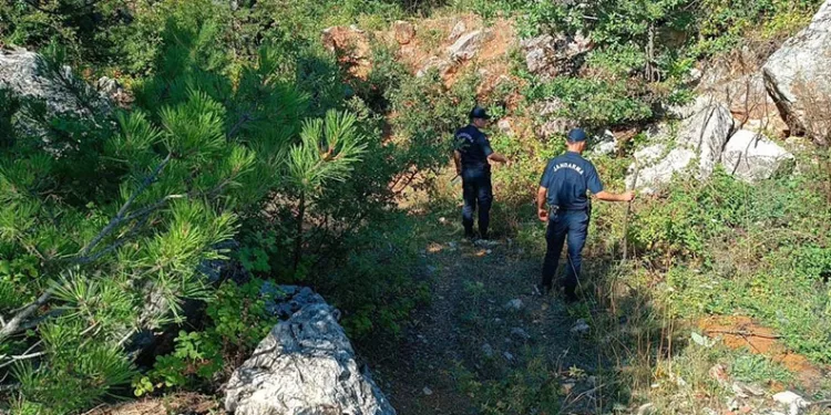 Bilecik’te ormanda toprağa gömülmüş naylona sarılı ceset bulundu