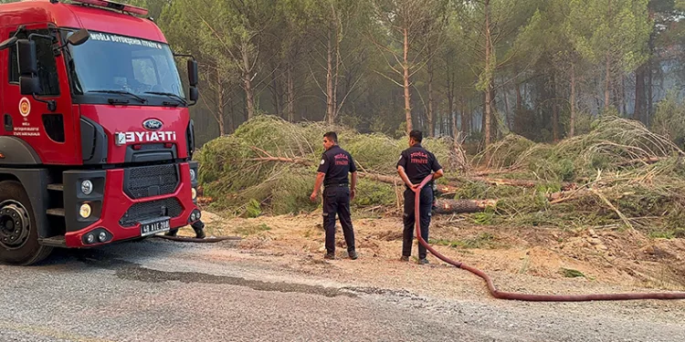 Aydın’da başlayan yangın Muğla sınırına ulaştı