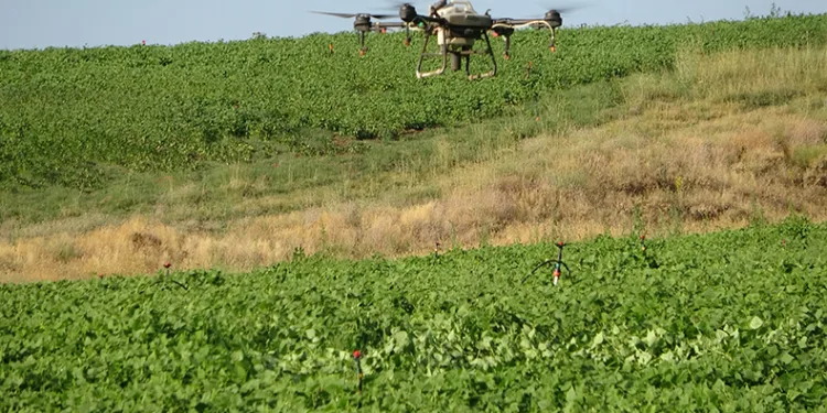 Bitlis’te çiftçiler tasarruf için ilaçlamayı drone ile yapıyor