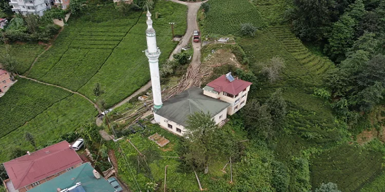 800 yıllık camiyi kurtarmak için çevresindeki ağaçları kestiler