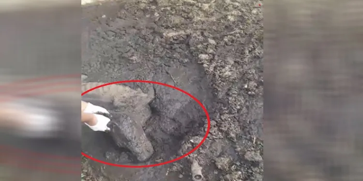 Balçıkta ölümü bekleyen köpeğe hayat kurtaran müdahale