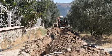 Balıkesir’de, 80 bin zeytin ağacı suyla buluştu