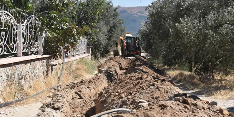 Balıkesir’de, 80 bin zeytin ağacı suyla buluştu