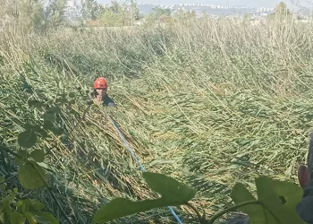 Kısaltmak için girdikleri yol kabusları oluyordu