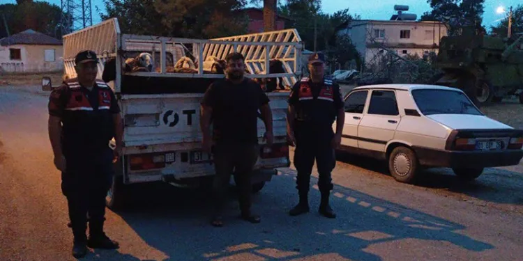 Koyunları çalıp sattı, eğlence mekanında yakalandı