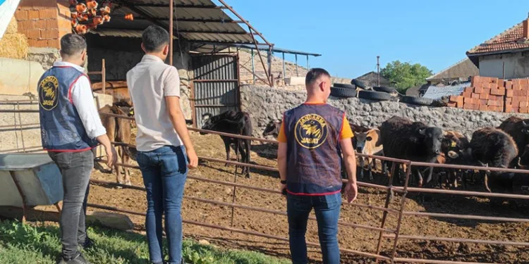 Afyonkarahisar’da çalınan büyükbaş hayvanlar Isparta’da bulundu