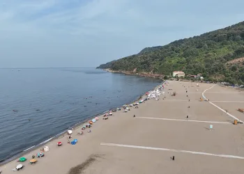 Bursa sahillerinden sevindiren haber