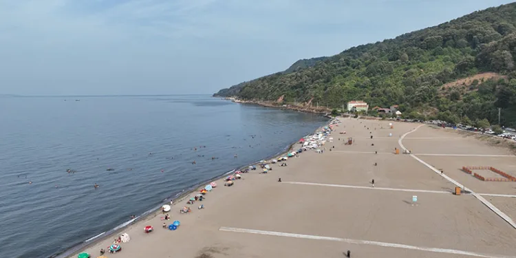 Bursa sahillerinden sevindiren haber