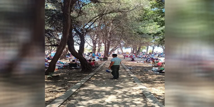 Milli Park’ta tüp kullananlara göz açtırılmıyor