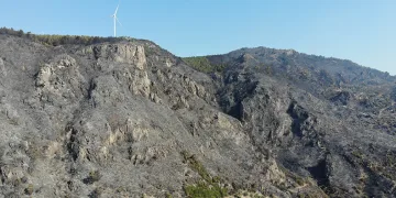 Yangın sonrası acı tablo gün ağarınca ortaya çıktı
