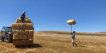 Kavuran sıcakta dondurucu kışa hazırlık