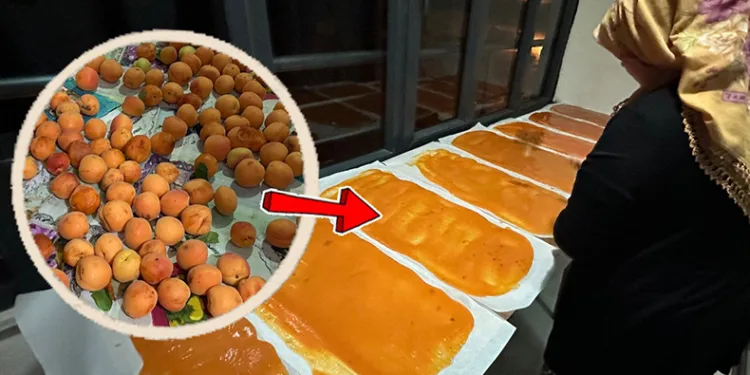 Yüksekova’da pestil yapımı
